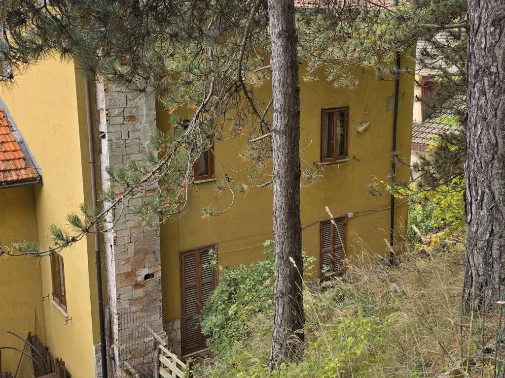 immagine annuncio 2 di 3