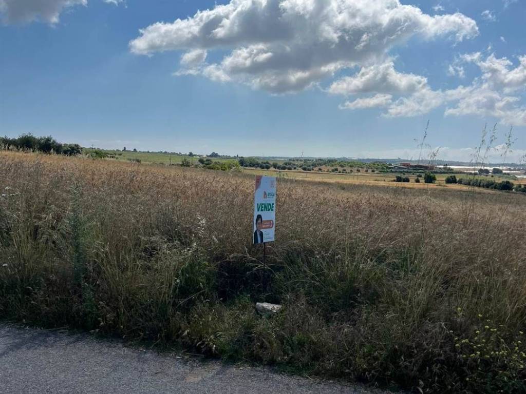 immagine annuncio 1 di 4