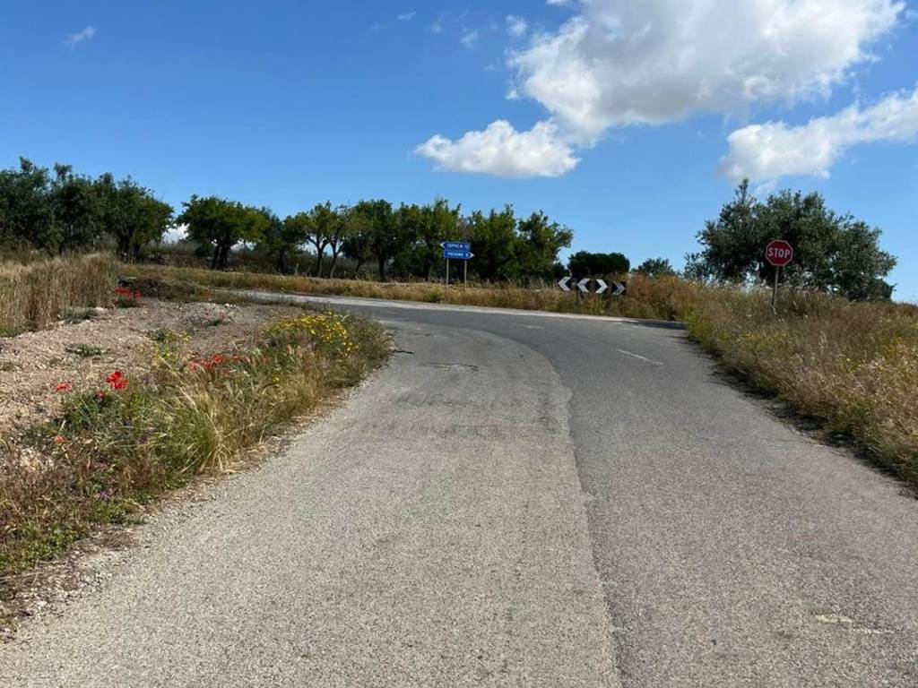 immagine annuncio 3 di 4