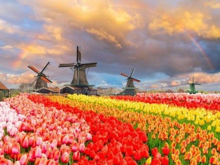 immagine annuncio 1 di 2