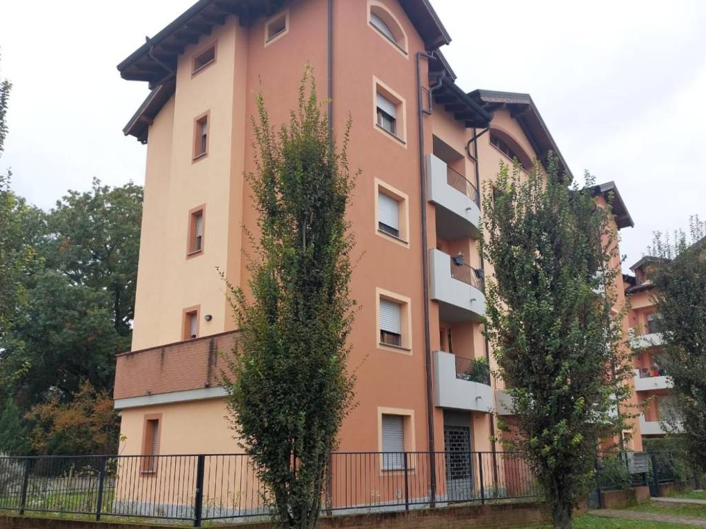 immagine annuncio 2 di 5