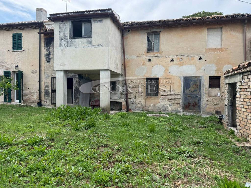 immagine annuncio 1 di 4