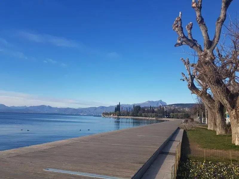 immagine annuncio 3 di 4