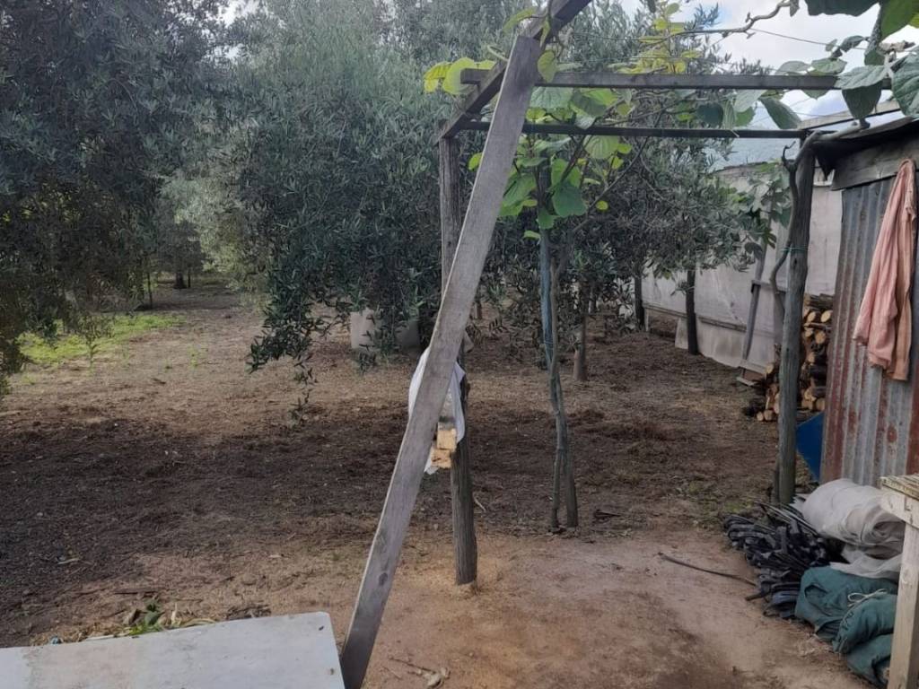 immagine annuncio 1 di 4