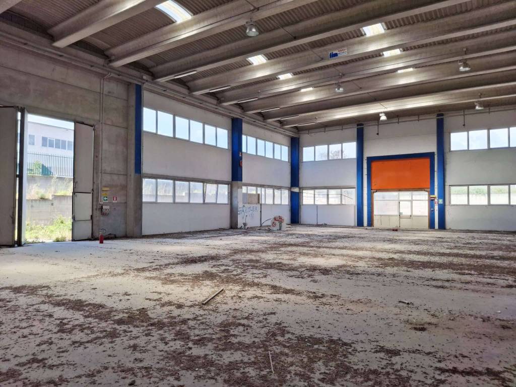 immagine annuncio 4 di 5
