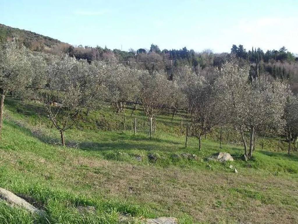 immagine annuncio 2 di 3