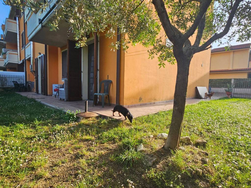 immagine annuncio 2 di 5