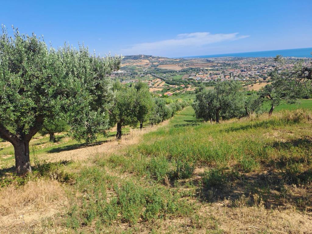 immagine annuncio 3 di 4