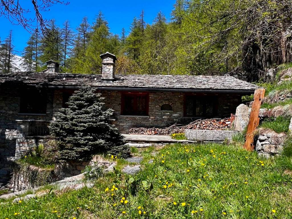 immagine annuncio 1 di 5