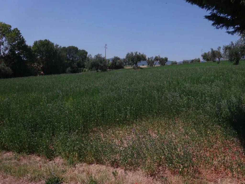 immagine annuncio 2 di 3