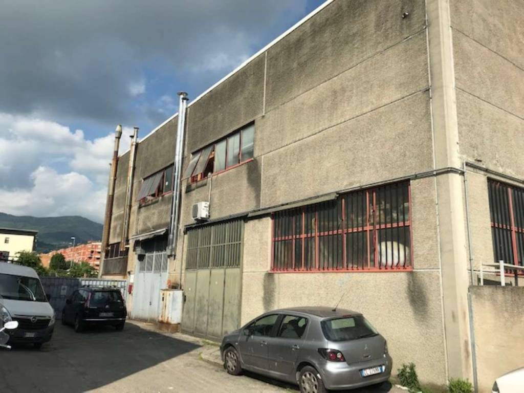 immagine annuncio 4 di 5