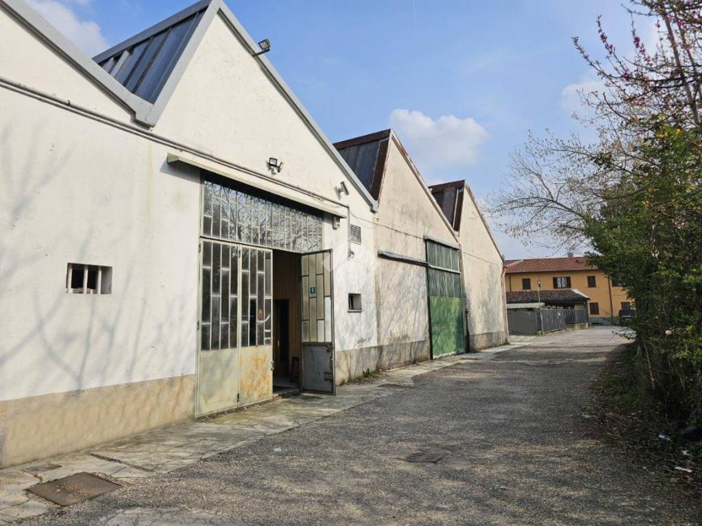 immagine annuncio 2 di 5