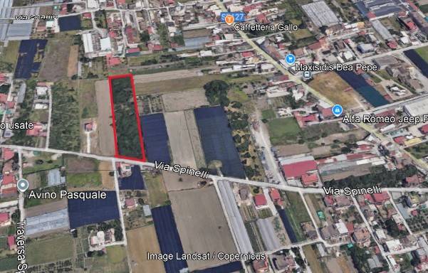 immagine annuncio 1 di 4