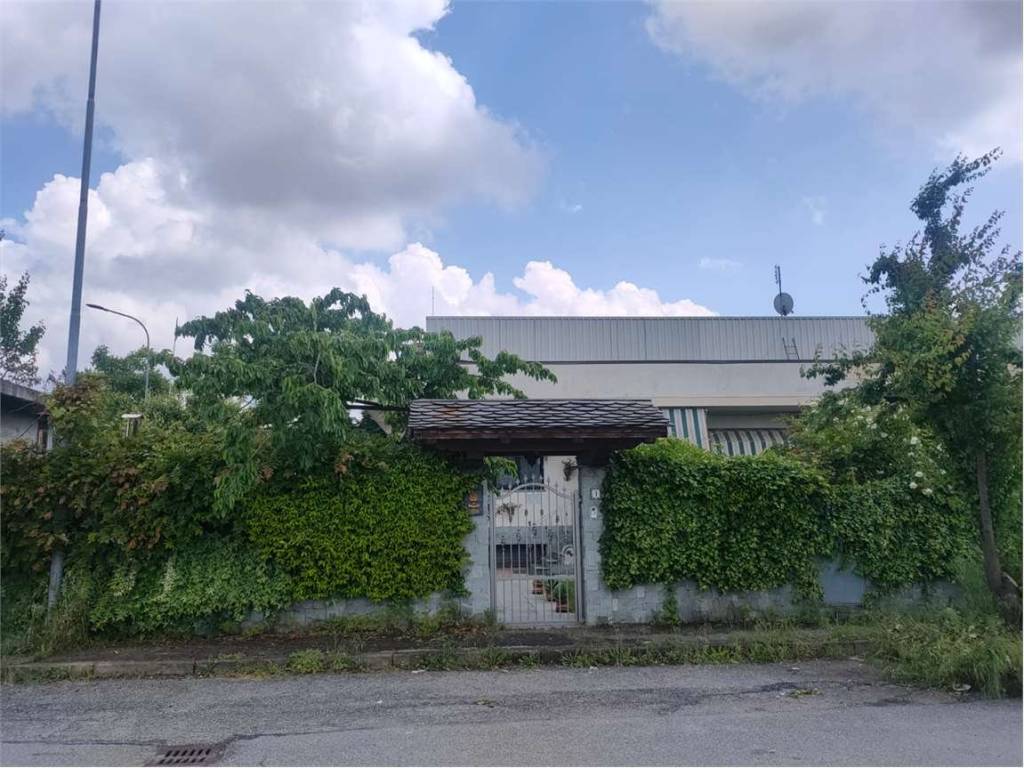 immagine annuncio 2 di 5