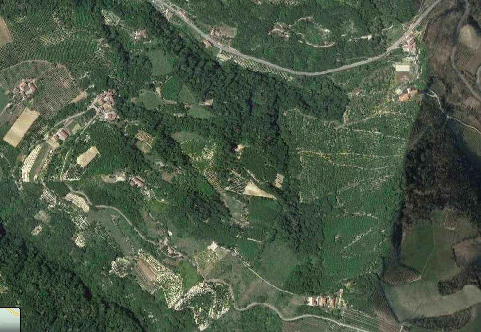 immagine annuncio 1 di 2