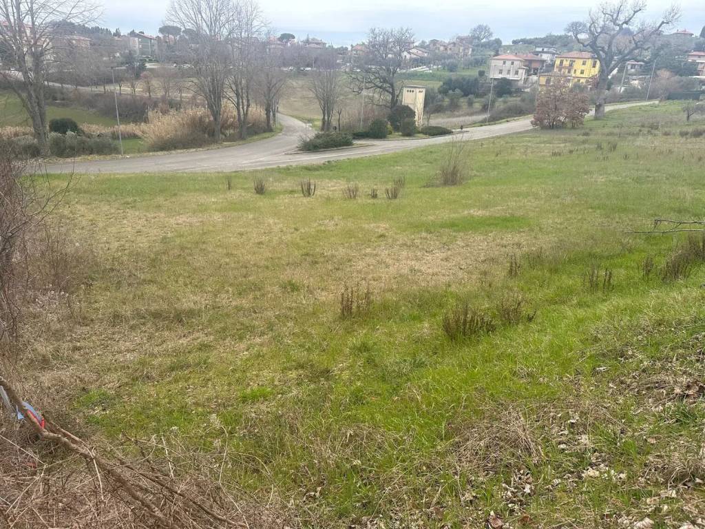 immagine annuncio 3 di 4