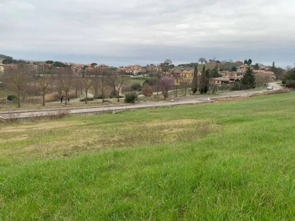 immagine annuncio 2 di 4