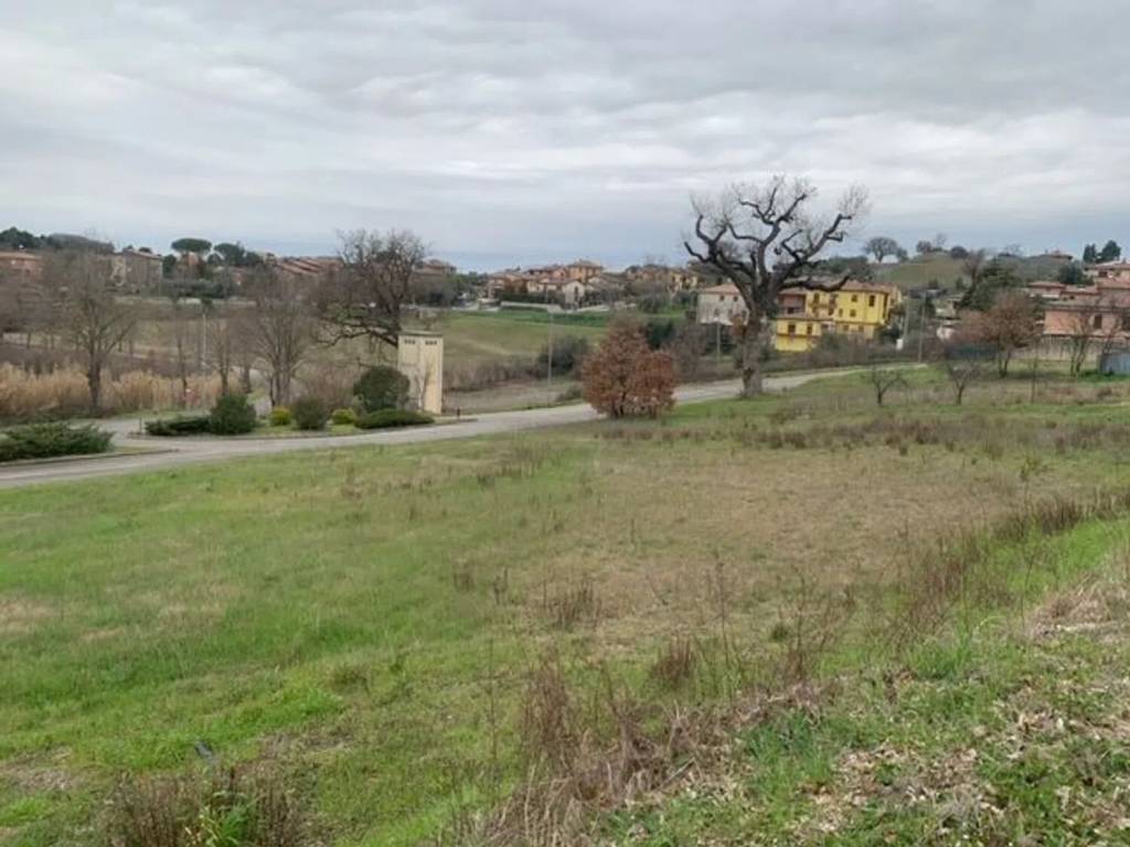 immagine annuncio 3 di 4