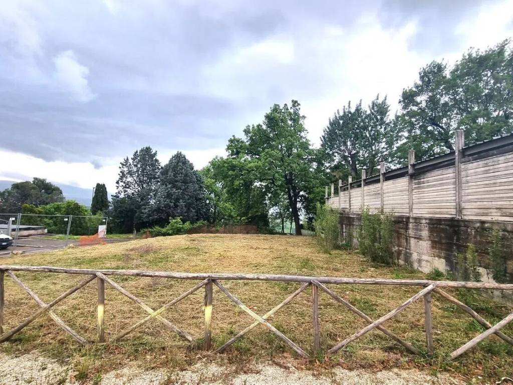 immagine annuncio 2 di 4