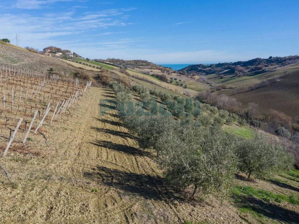 immagine annuncio 1 di 3