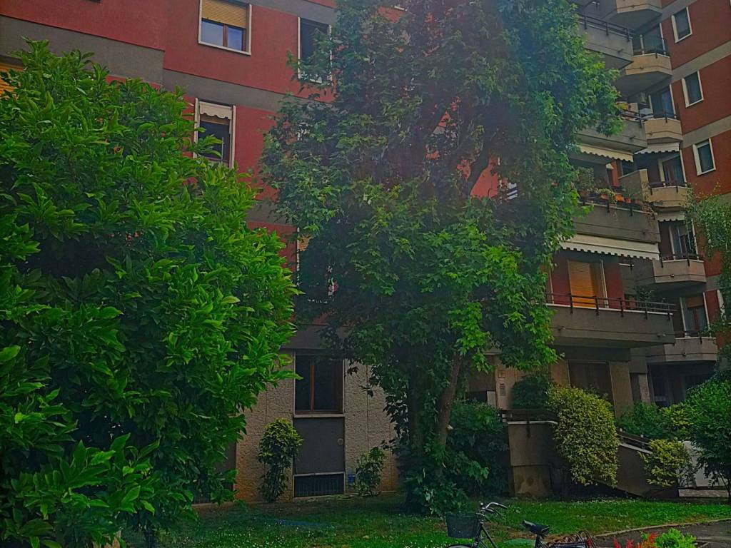 immagine annuncio 3 di 4