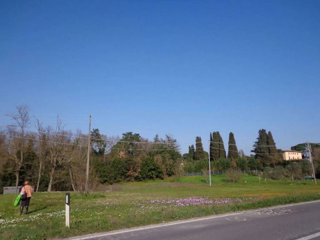 immagine annuncio 2 di 4