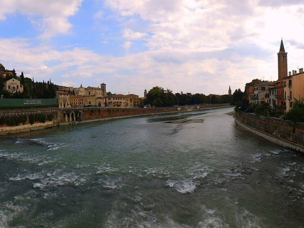 immagine annuncio 1 di 4