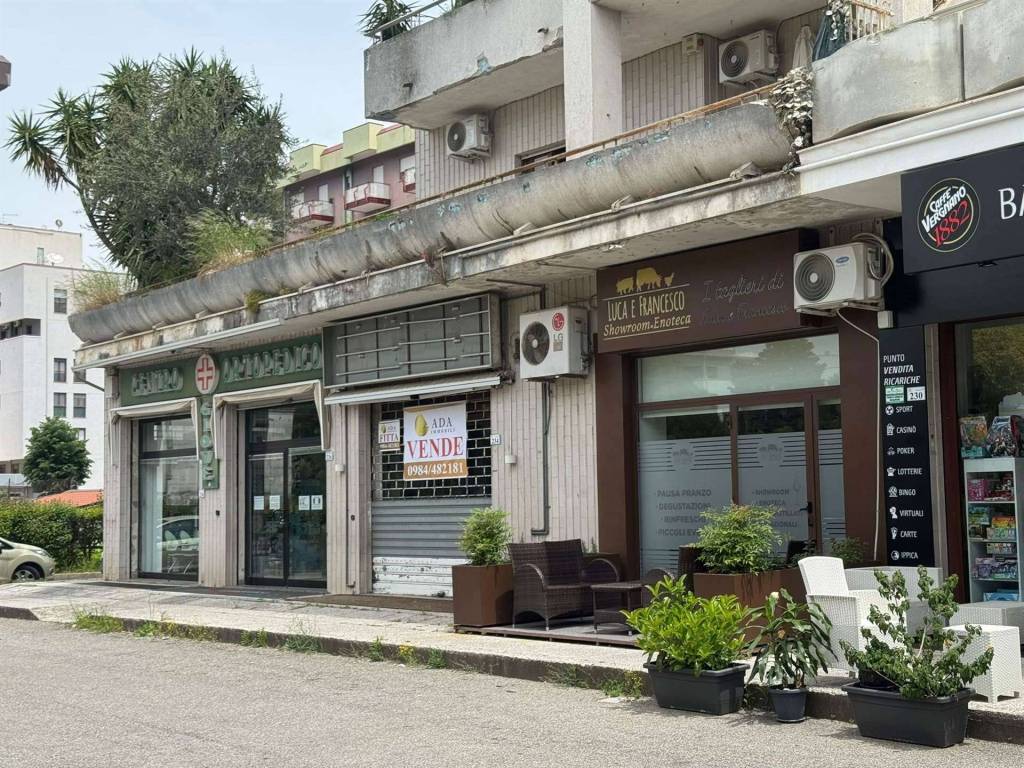 immagine annuncio 0 di 1