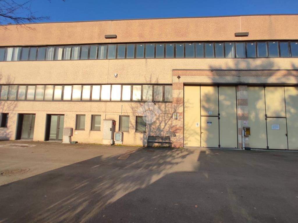 immagine annuncio 2 di 5