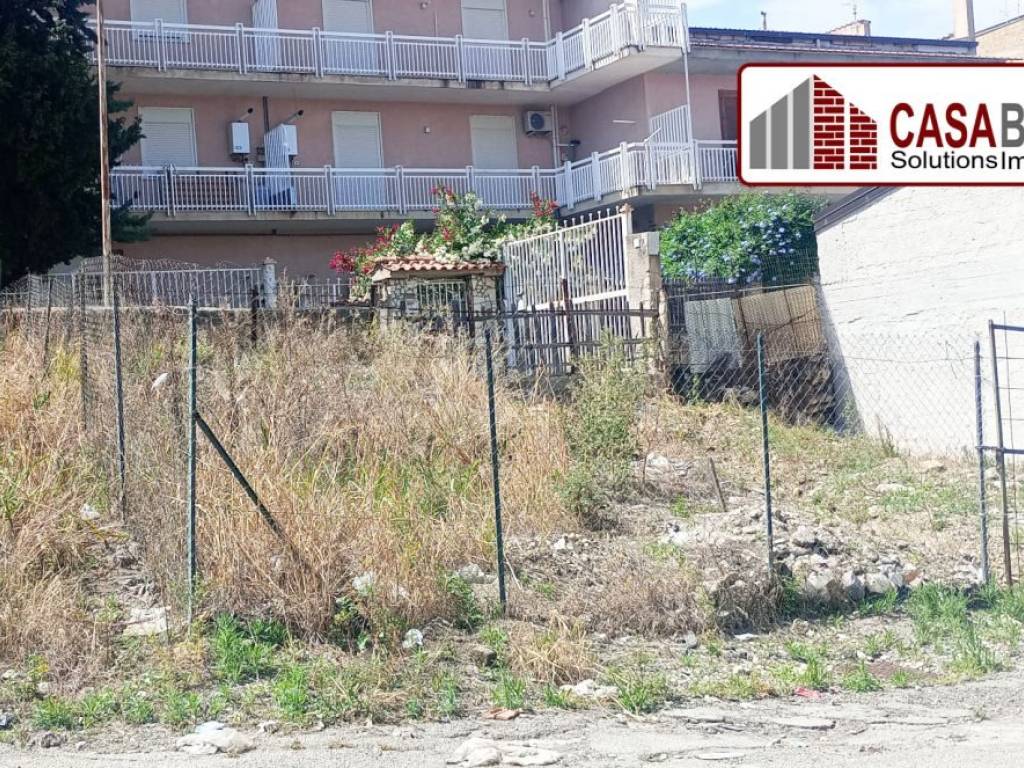 immagine annuncio 2 di 4