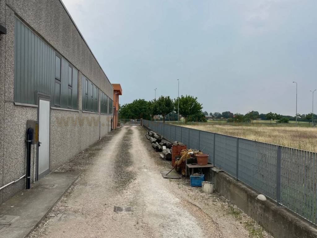 immagine annuncio 4 di 5