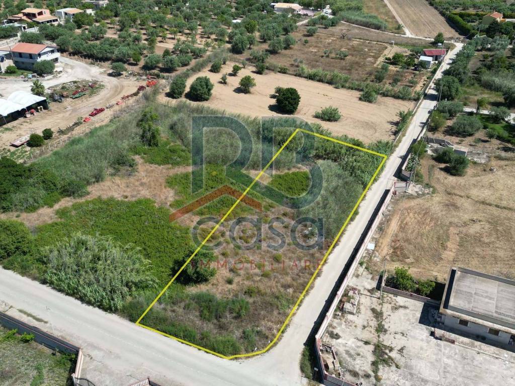 immagine annuncio 1 di 4