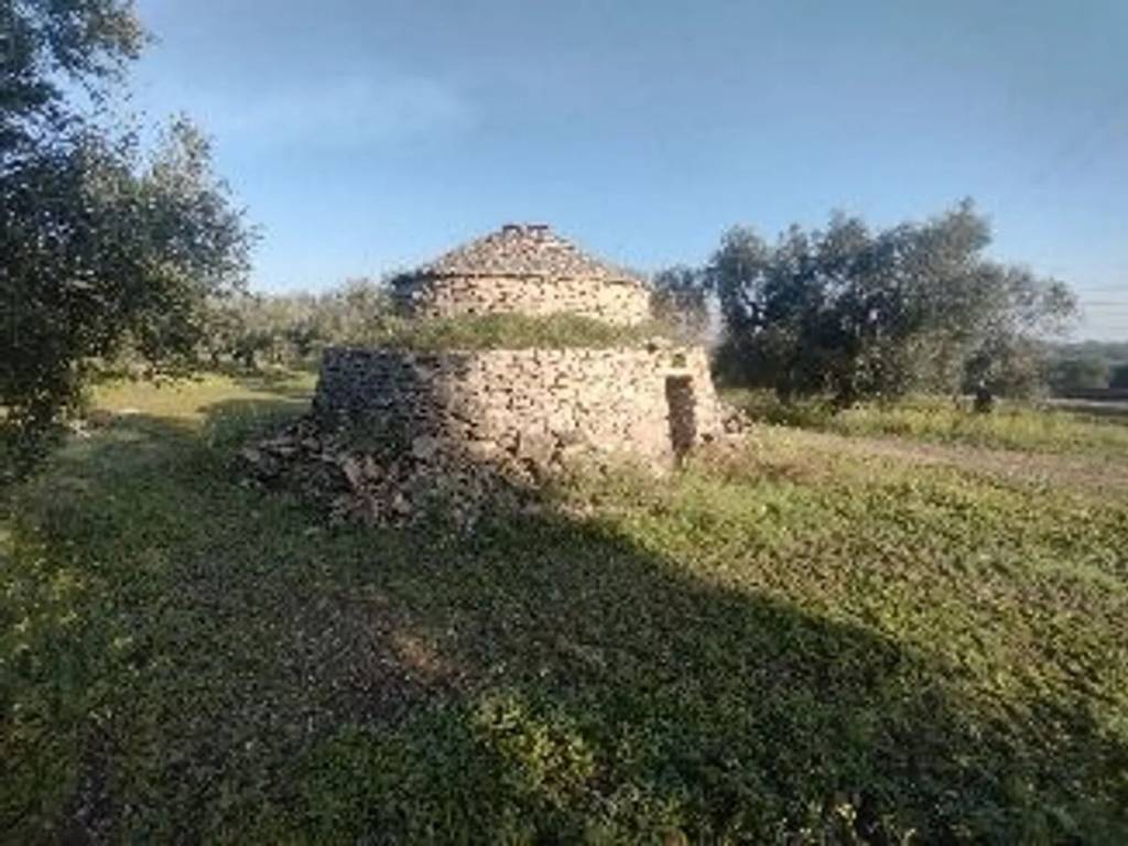 immagine annuncio 3 di 4