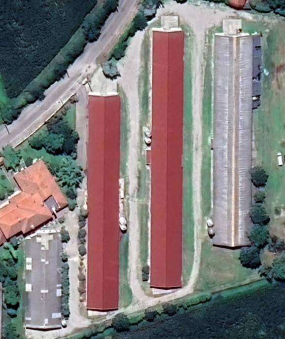 immagine annuncio 1 di 2