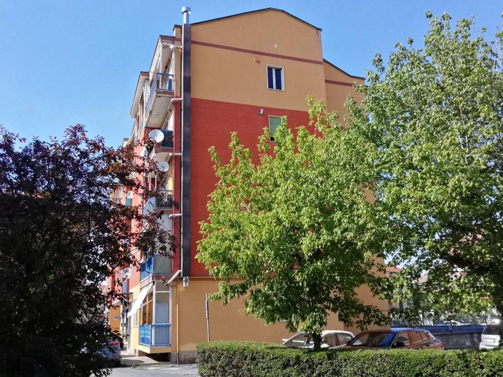 immagine annuncio 1 di 5