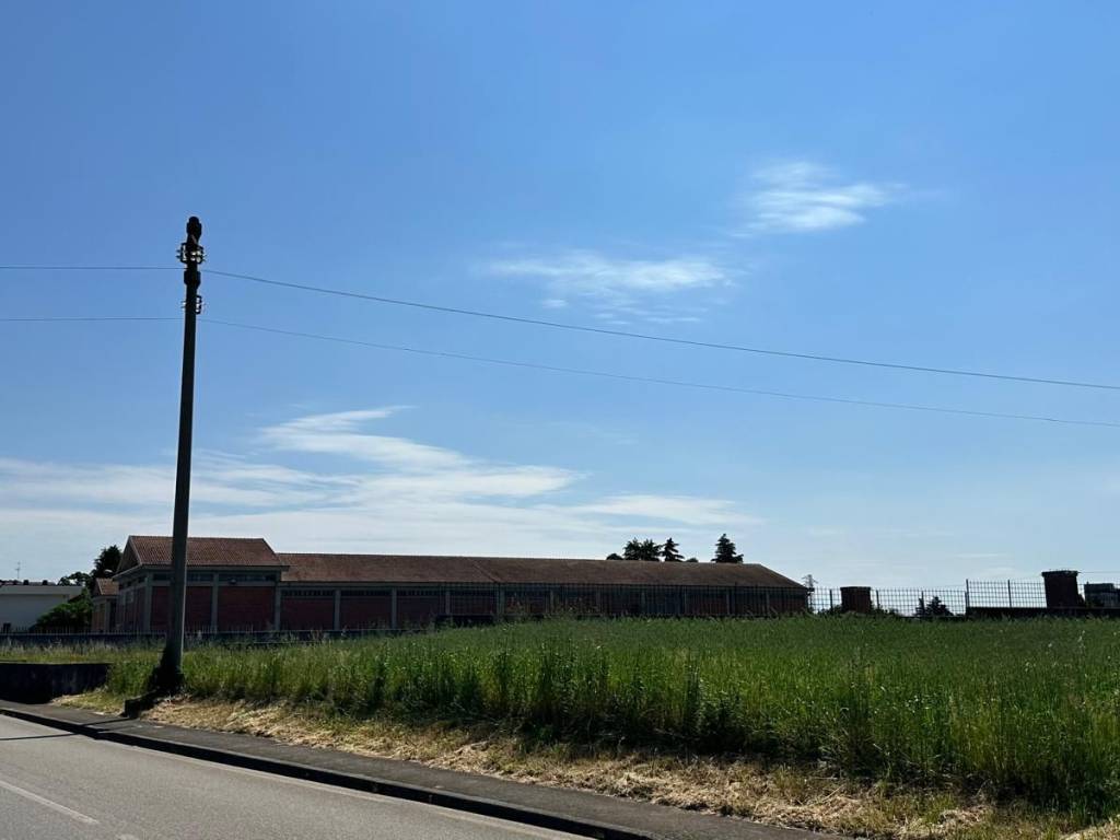 immagine annuncio 2 di 3
