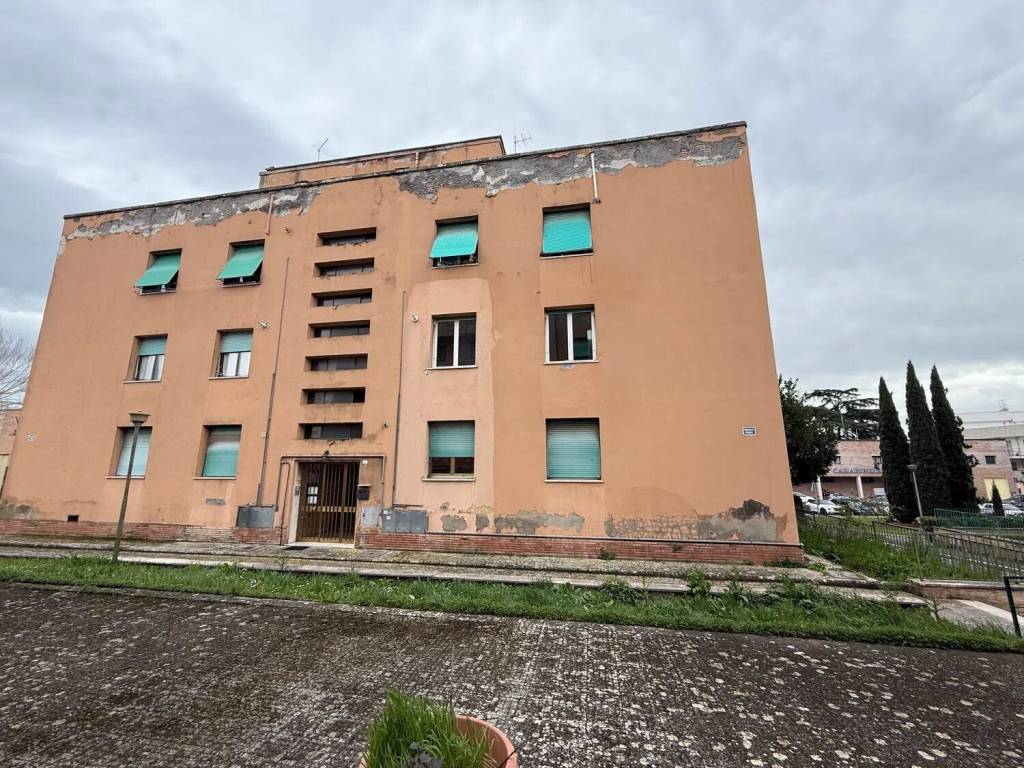 immagine annuncio 1 di 3