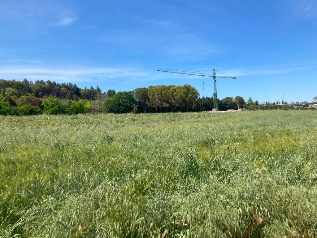 immagine annuncio 1 di 2