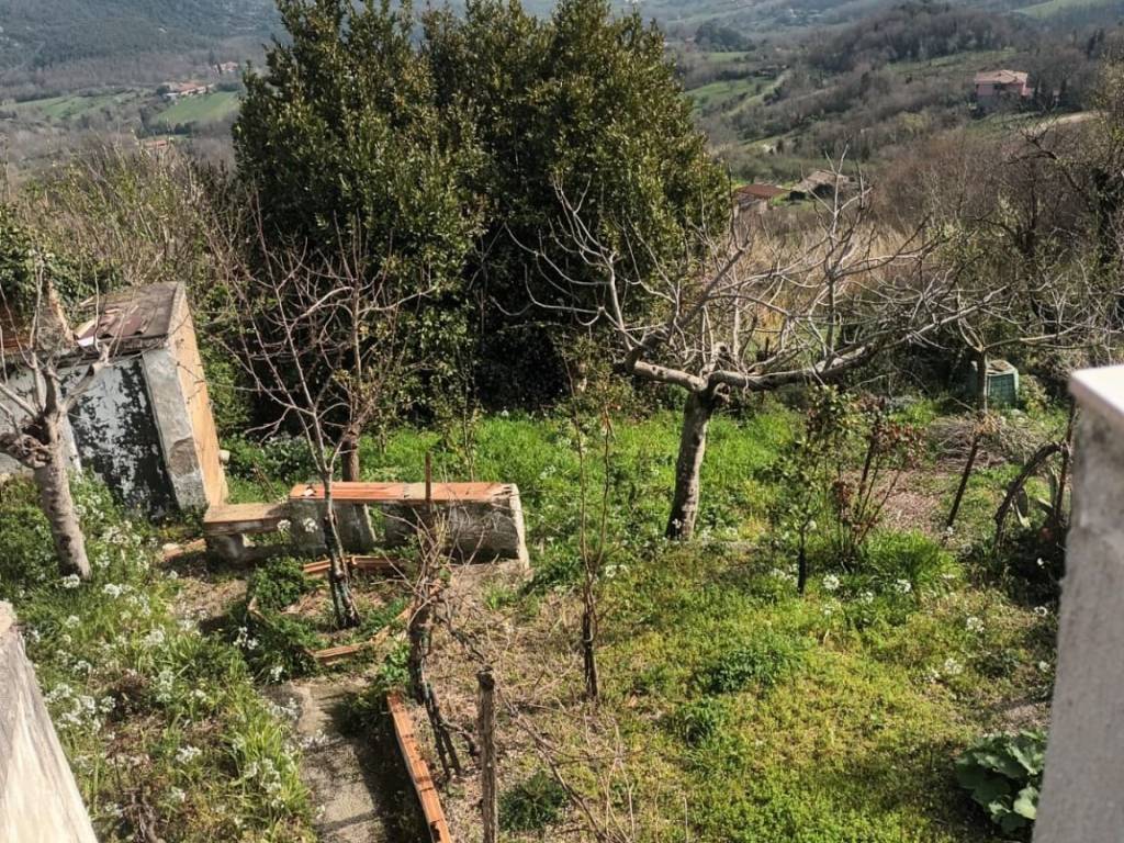 immagine annuncio 1 di 3