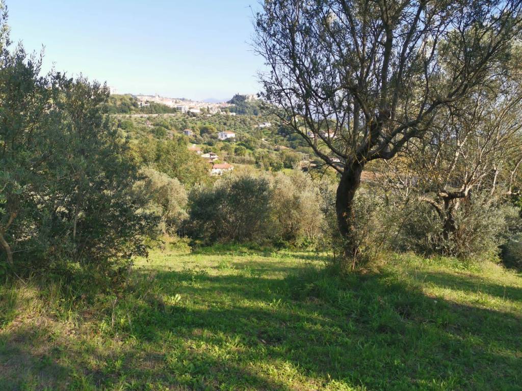 immagine annuncio 2 di 3