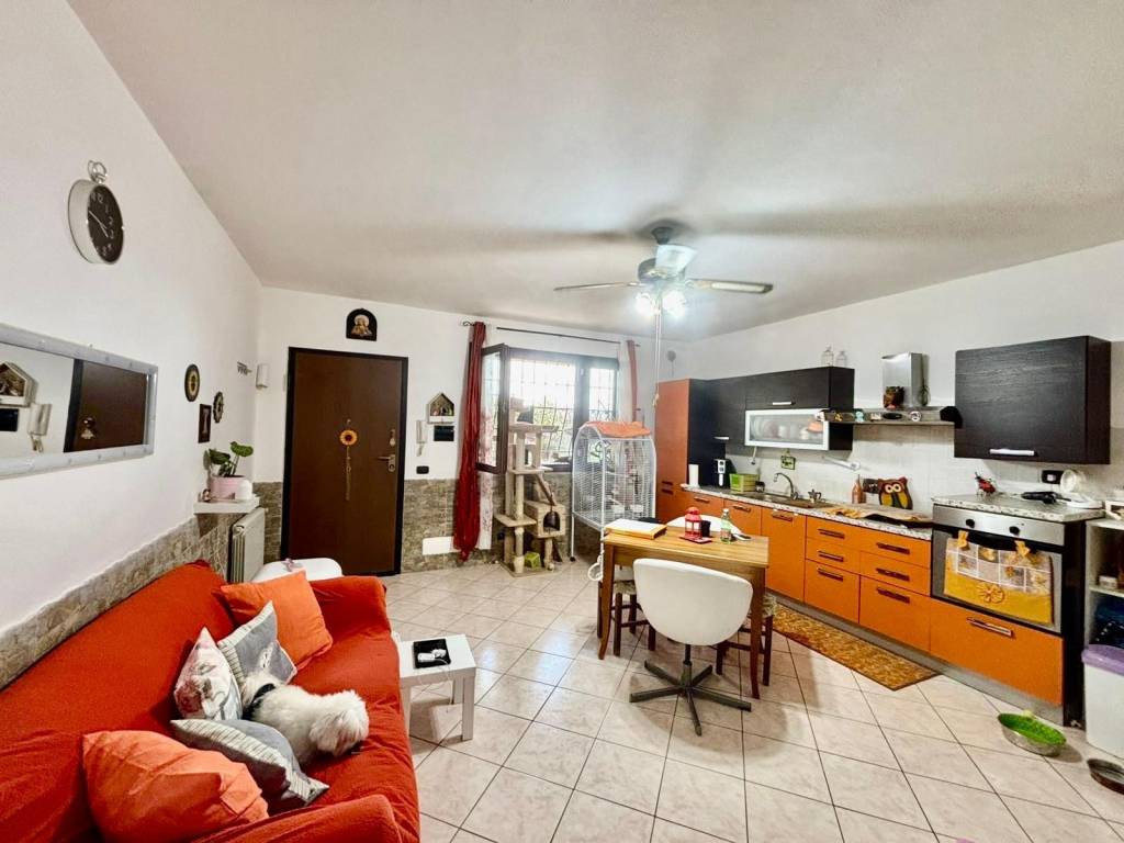 immagine annuncio 3 di 5