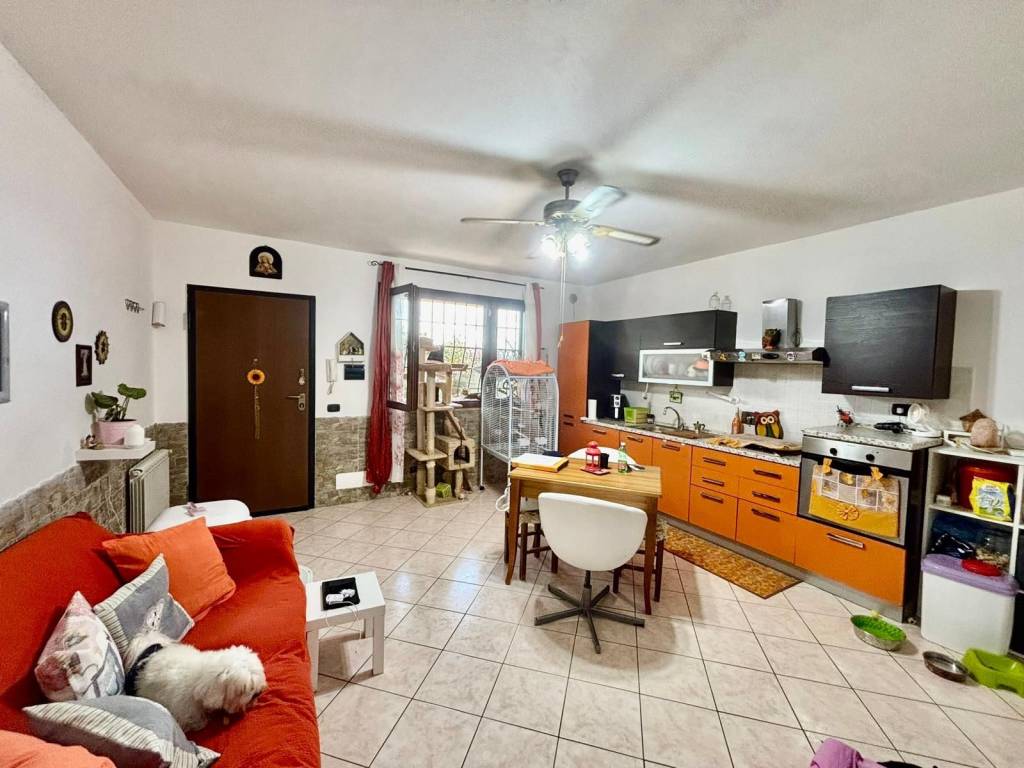 immagine annuncio 1 di 5