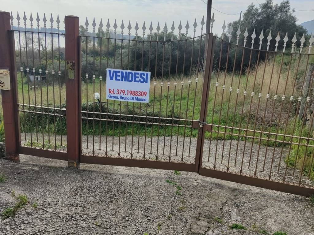 immagine annuncio 2 di 3