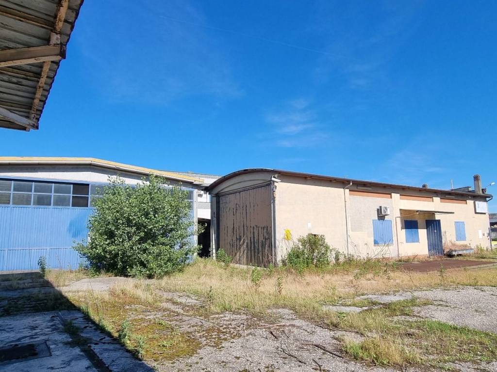 immagine annuncio 4 di 5