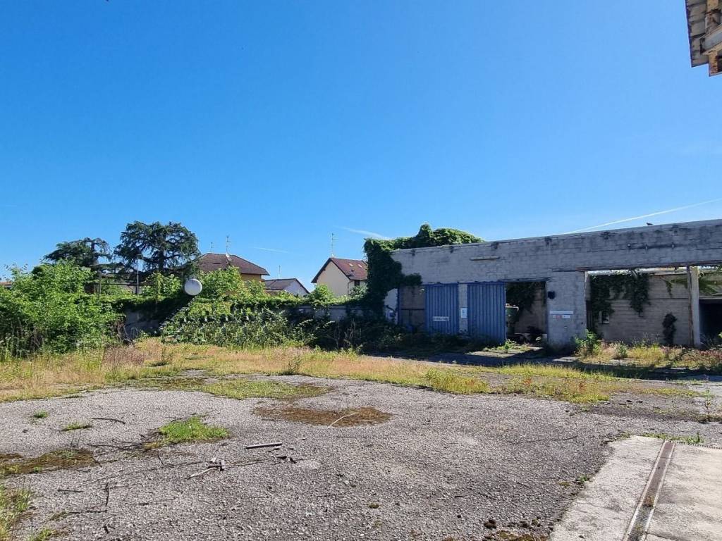 immagine annuncio 3 di 5