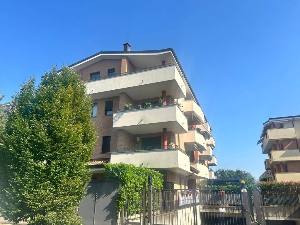 immagine annuncio 2 di 5