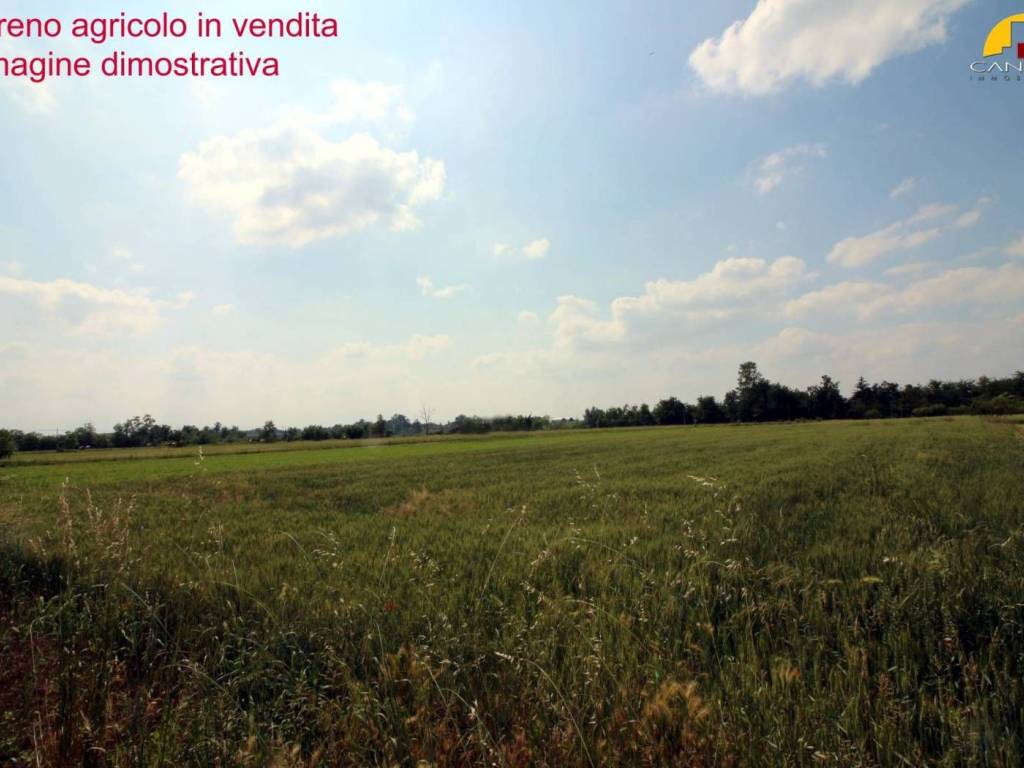 immagine annuncio 2 di 3