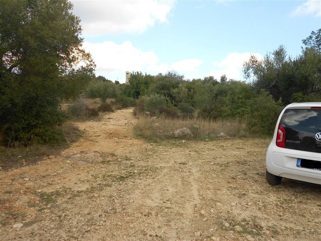 immagine annuncio 3 di 4