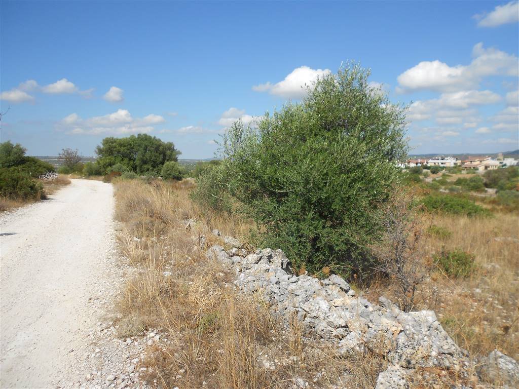 immagine annuncio 1 di 3