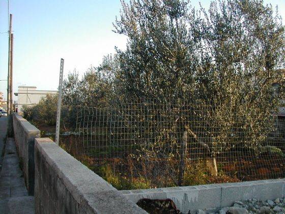 immagine annuncio 1 di 4